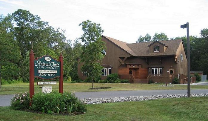 Animal Clinic