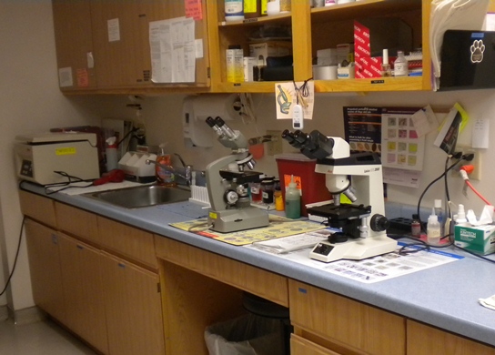 Laboratory