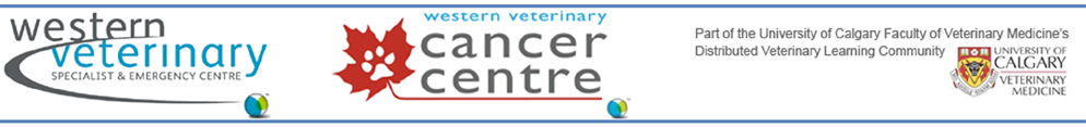 Western Veterinary Specialist & Emergency Centre