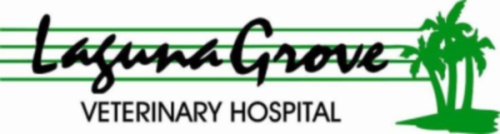 Laguna Grove Veterinary Hospital