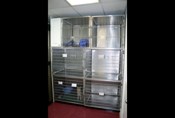 Isolation Area