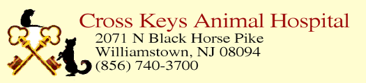 Cross Keys Animal Hospital
