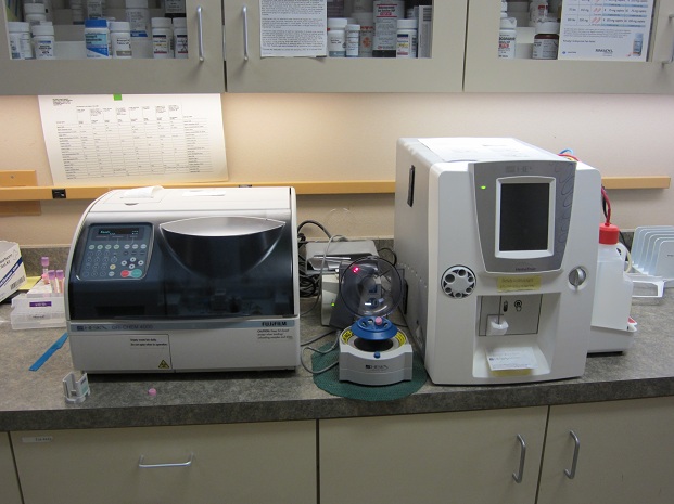 Lab