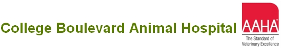 College Boulevard Animal Hospital