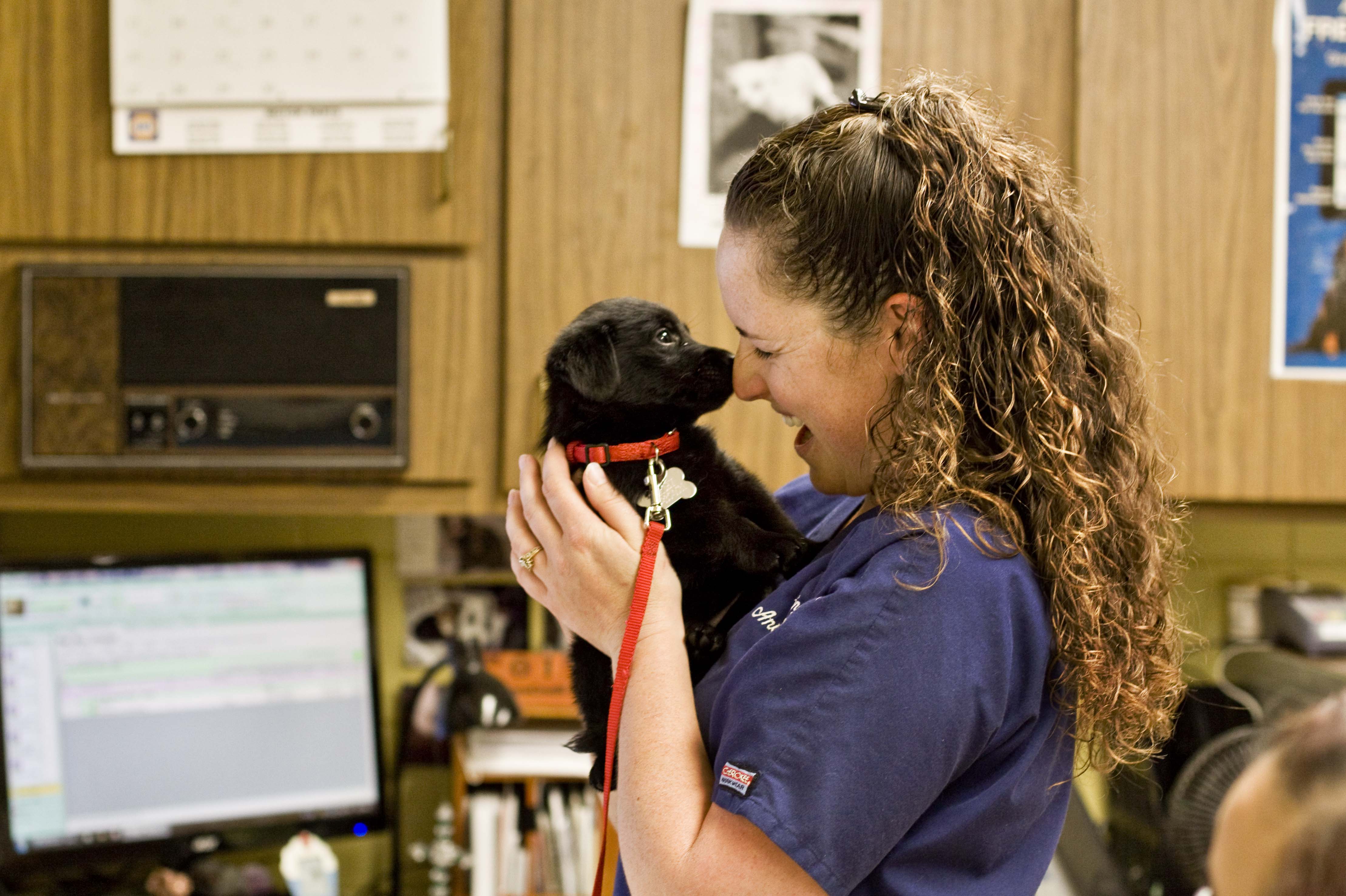Sebring Animal Hospital Veterinarian