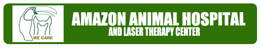 Amazon Animal Hospital & Laser Therapy Center