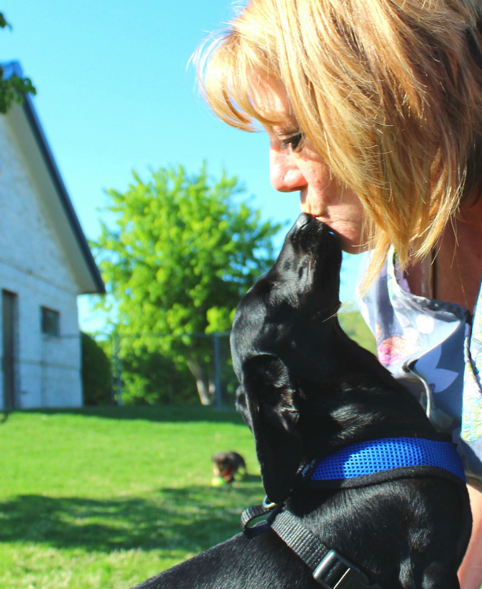 Eastmoor Animal Clinic Our Veterinary Staff