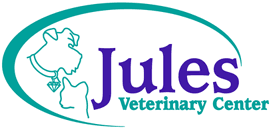 Jules Veterinary Center