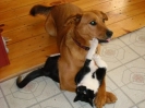 Master & Lilly