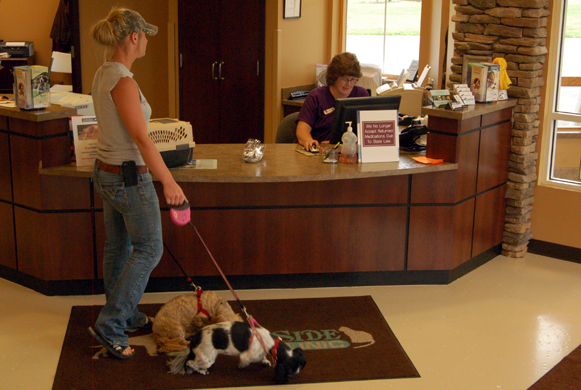 Setting up a new appointment.