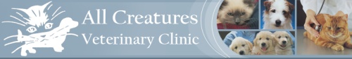 All Creatures Veterinary Clinic