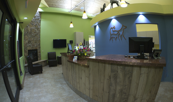 Reception Area