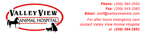 Valley View Animal Hospital