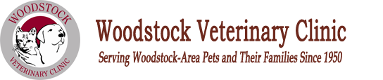 Woodstock Veterinary Clinic