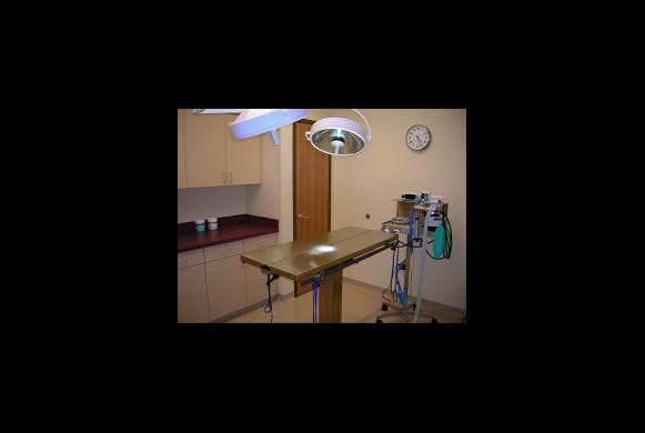 Surgery Suite