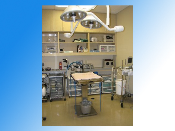 Surgery Suite