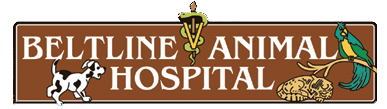 Beltline Animal Hospital