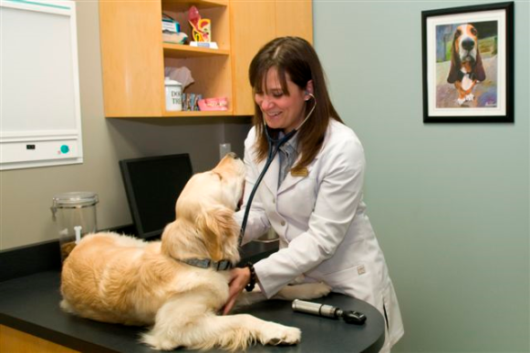 Dr. Sarah & Cheddar