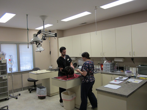 Treatment Area