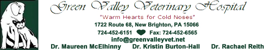 Green Valley Veterinary Hospital