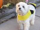 Abby