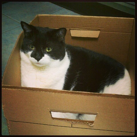 Fred