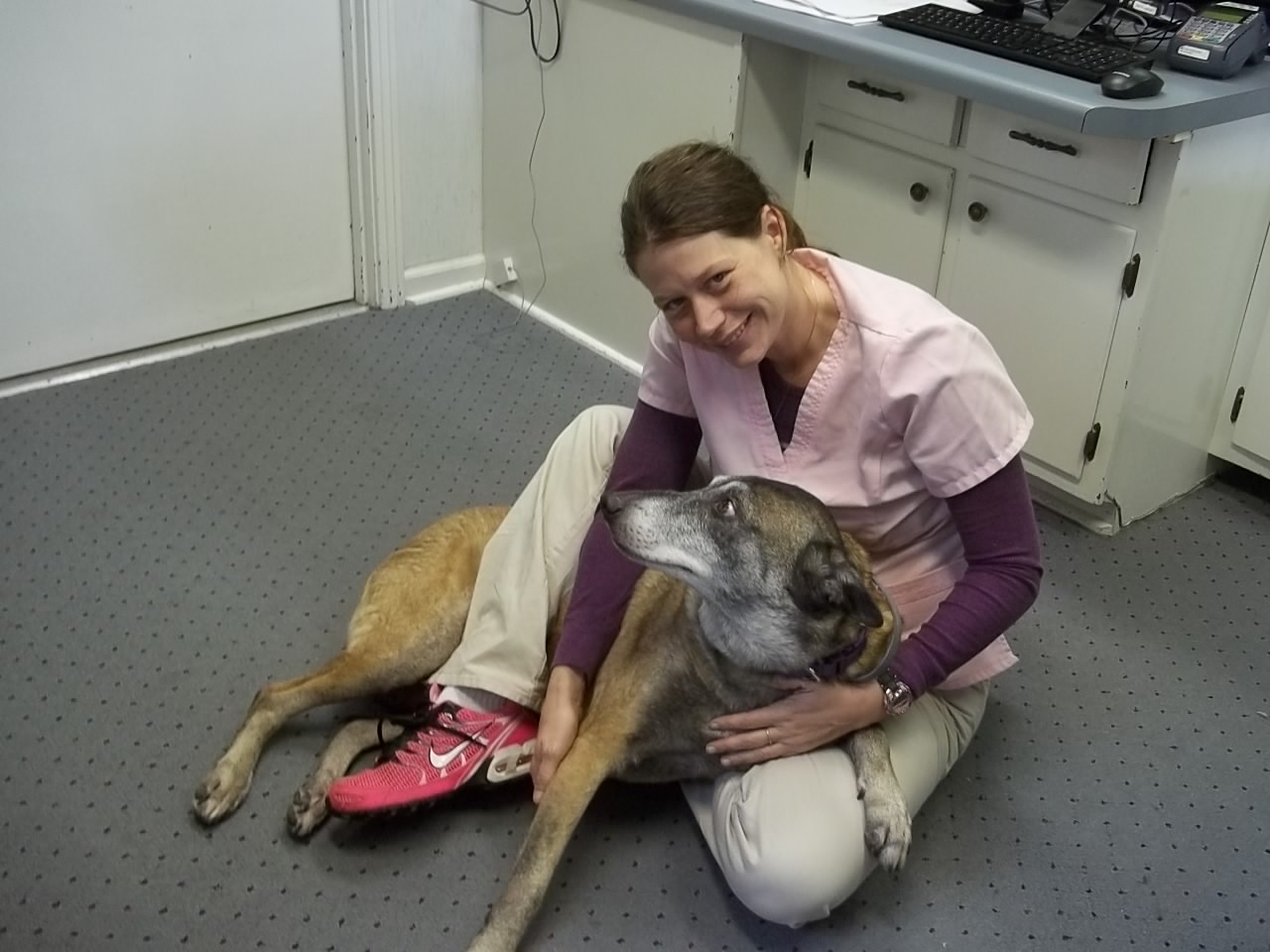 Columbia Hospital for Animals, Our Veterinary Staff