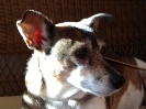 Lucy