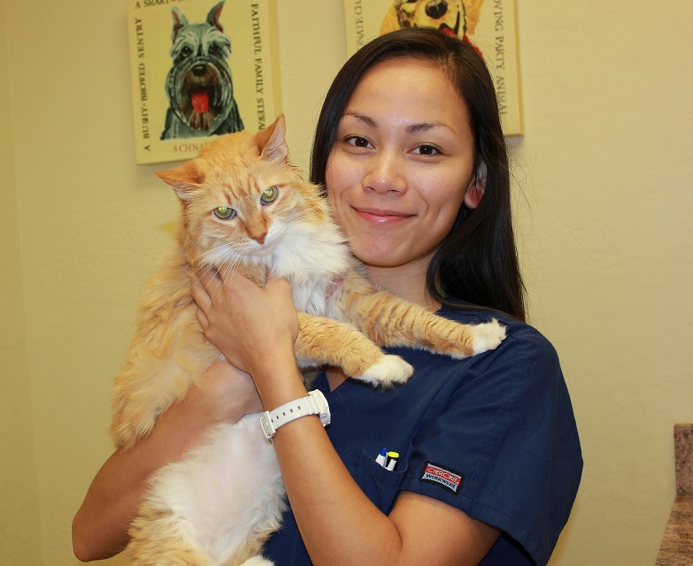 Caring Veterinarians in the Glendale, AZ, Area