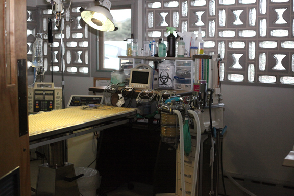 Surgery suite