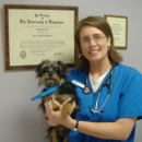 Dr. Melissa J Barnes, DVM