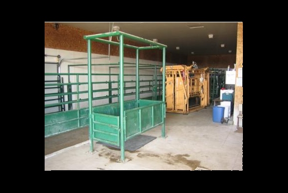 Horse Stock