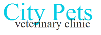 City Pets Veterinary Clinic