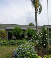 Animal Medical Clinic of Gulf Gate | Veterinarian