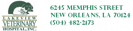 Lakeview Veterinary Hospital, Inc.