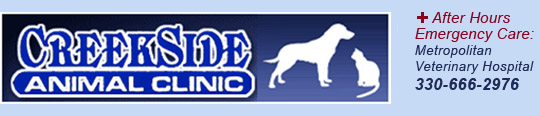 Creekside Animal Clinic