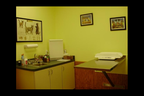 Exam Room 3