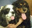 Coco and Jojo