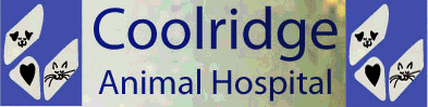 Coolridge Animal Hospital about us, and our dedicated health care team