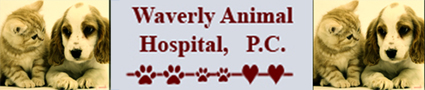 Waverly Animal Hospital, P.C.