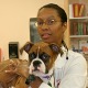 Dr. Rosalie Gibson