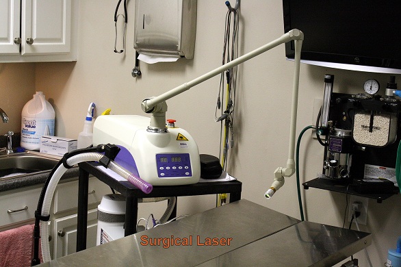 Surgical Laser