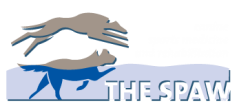 THE SPAW!