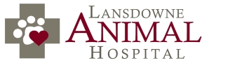Lansdowne Animal Hospital