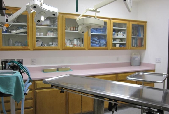 Surgery Suite