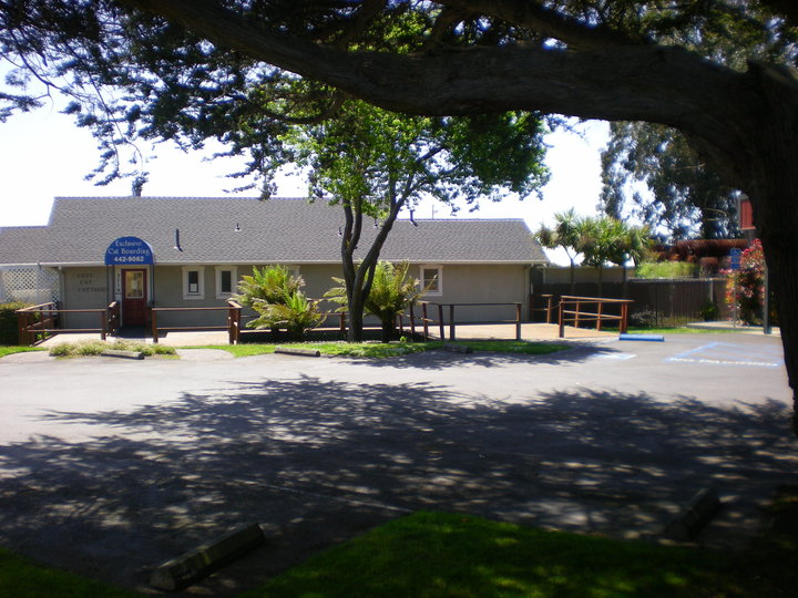 Broadway Animal Hospital