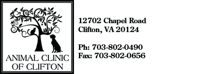 Animal Clinic of Clifton