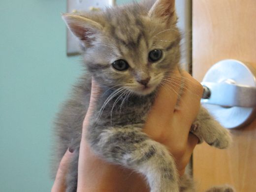 LOVE ME!