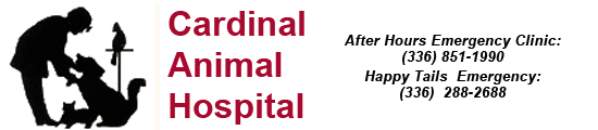 Cardinal Animal Hospital