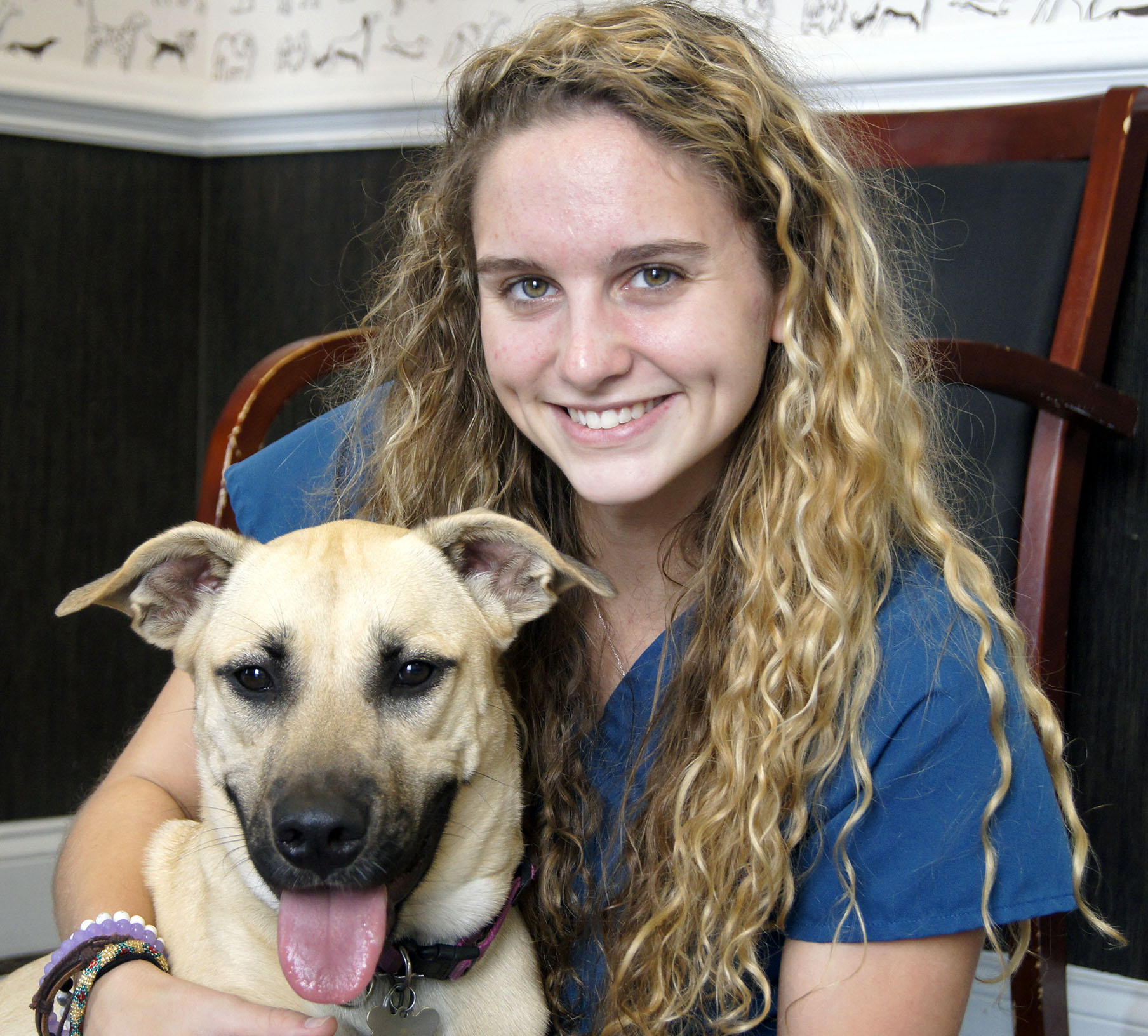 The Animal Clinic, P.C. Our Veterinary Staff